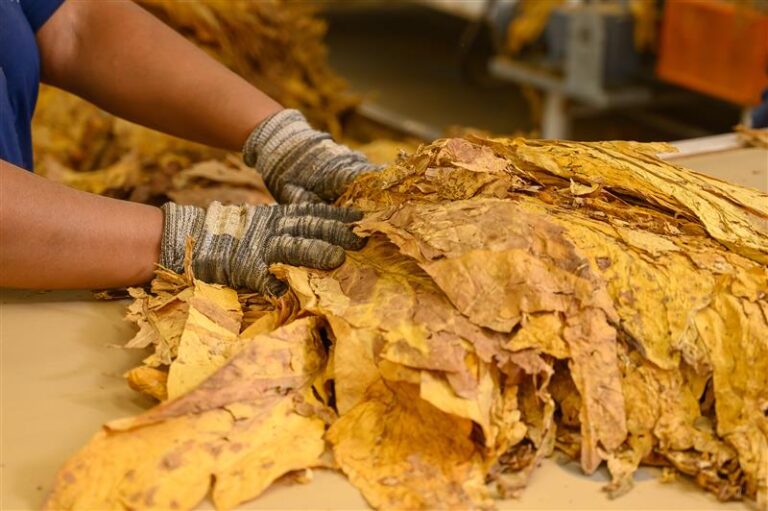 Stifa informa os trabalhadores da Data-Base Dezembro