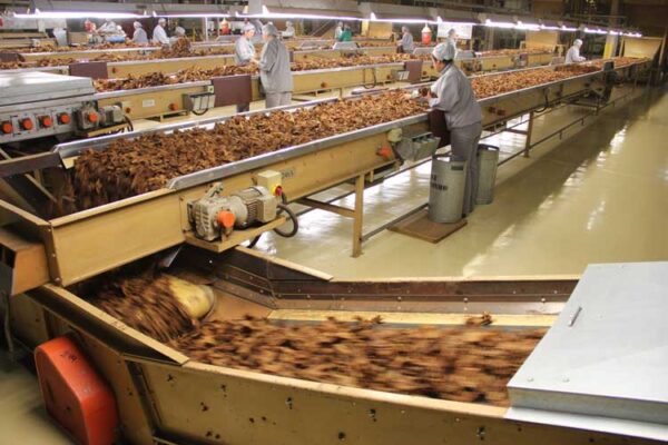 Stifa informa os trabalhadores da JTI