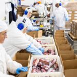 Stifa encerra o ano com negociações coletivas da alimentação e do tabaco concluídas