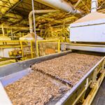 Indústria do tabaco deve contratar 9,1 mil safreiros em Santa Cruz do Sul